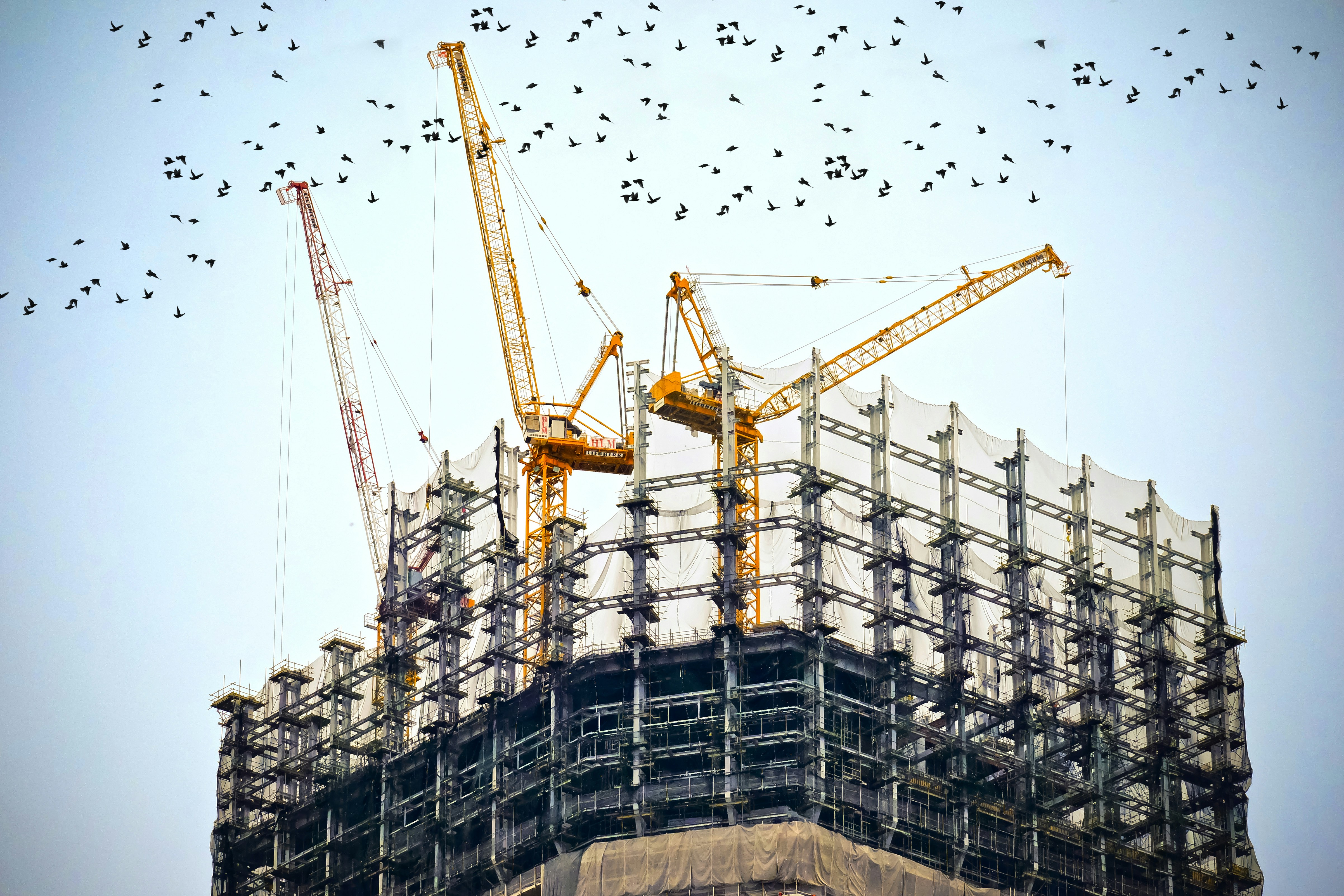 Major Infrastructure Project